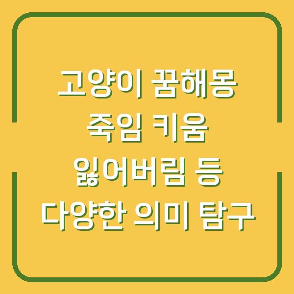 고양이 꿈해몽 죽임 키움 잃어버림 등 다양한 의미 탐구