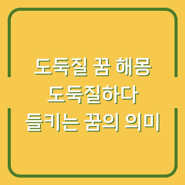 도둑질 꿈 해몽 도둑질하다 들키는 꿈의 의미