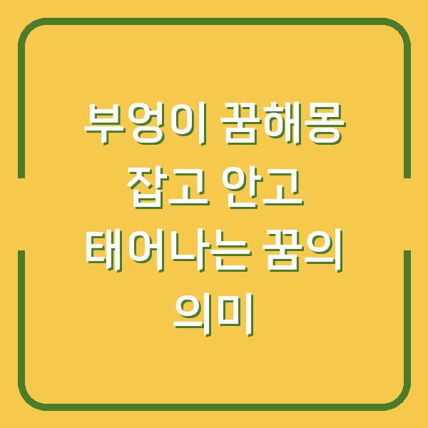 부엉이 꿈해몽 잡고 안고 태어나는 꿈의 의미