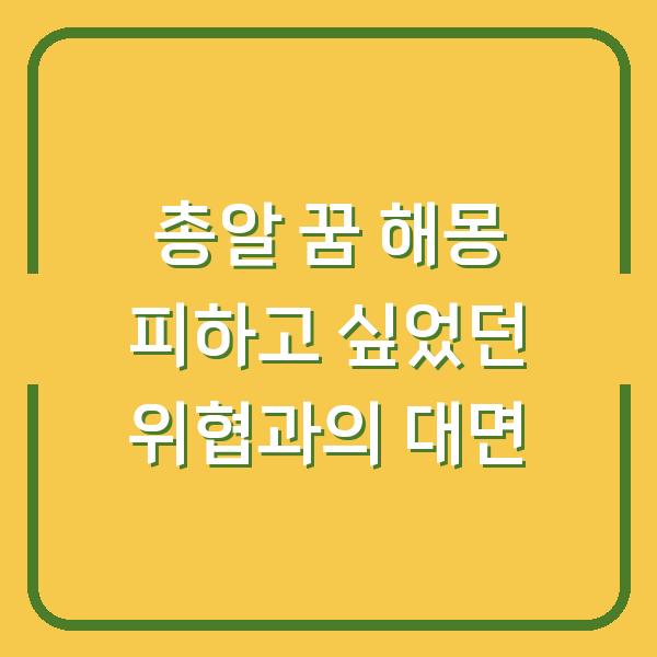 총알 꿈 해몽 피하고 싶었던 위협과의 대면
