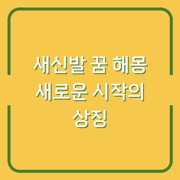 새신발 꿈 해몽 새로운 시작의 상징