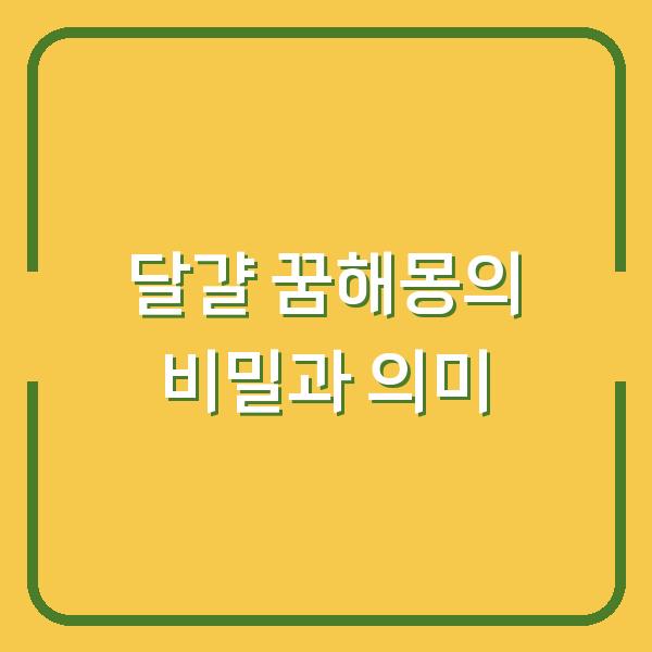 달걀 꿈해몽의 비밀과 의미