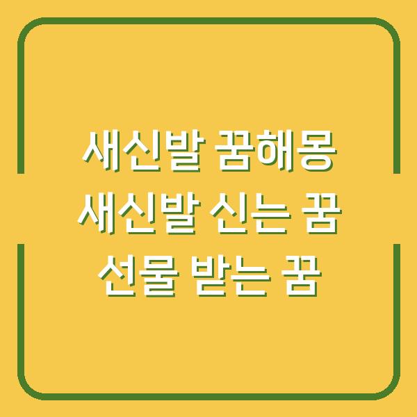 새신발 꿈해몽 새신발 신는 꿈 선물 받는 꿈