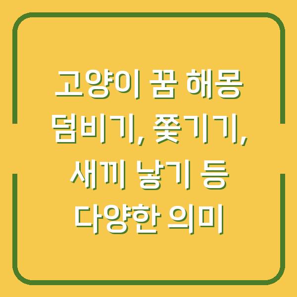고양이 꿈 해몽 덤비기, 쫓기기, 새끼 낳기 등 다양한 의미