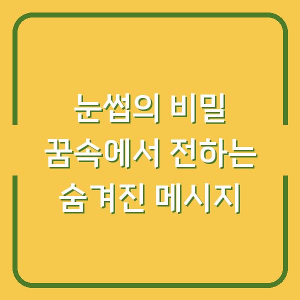 눈썹의 비밀 꿈속에서 전하는 숨겨진 메시지