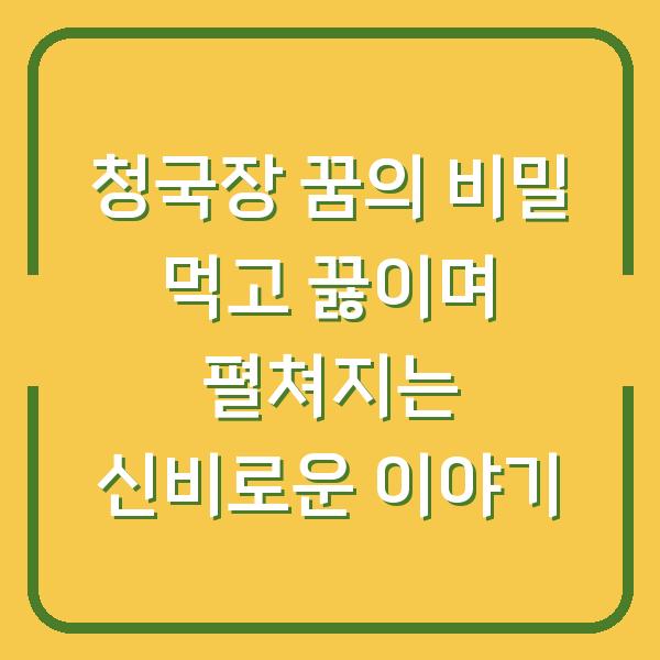 청국장 꿈의 비밀 먹고 끓이며 펼쳐지는 신비로운 이야기