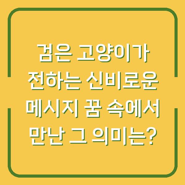 검은 고양이가 전하는 신비로운 메시지 꿈 속에서 만난 그 의미는?