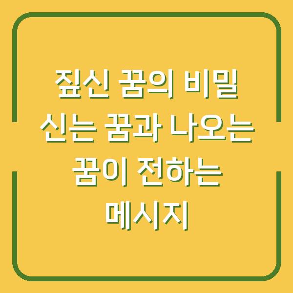 짚신 꿈의 비밀 신는 꿈과 나오는 꿈이 전하는 메시지