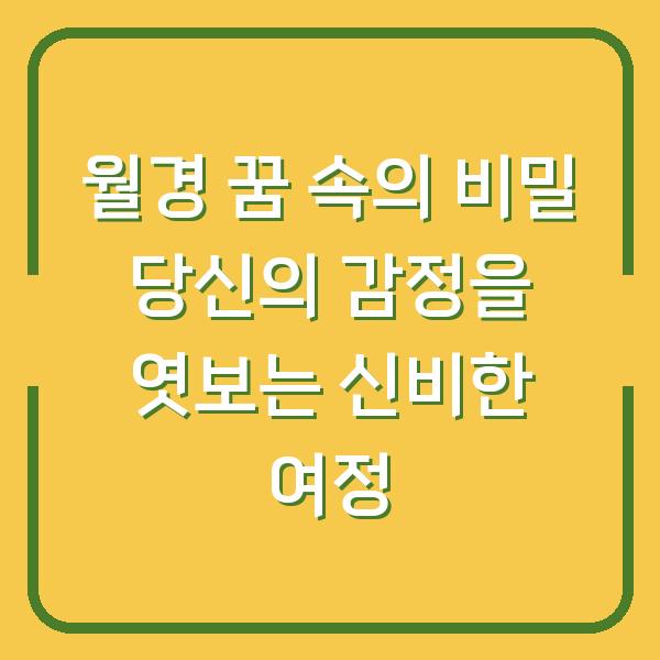 월경 꿈 속의 비밀 당신의 감정을 엿보는 신비한 여정