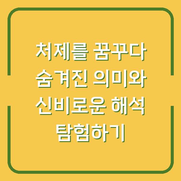 처제를 꿈꾸다 숨겨진 의미와 신비로운 해석 탐험하기