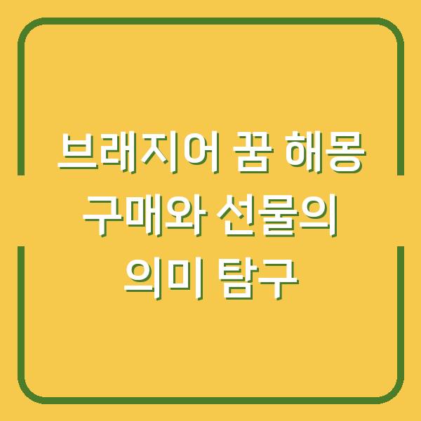 브래지어 꿈 해몽 구매와 선물의 의미 탐구