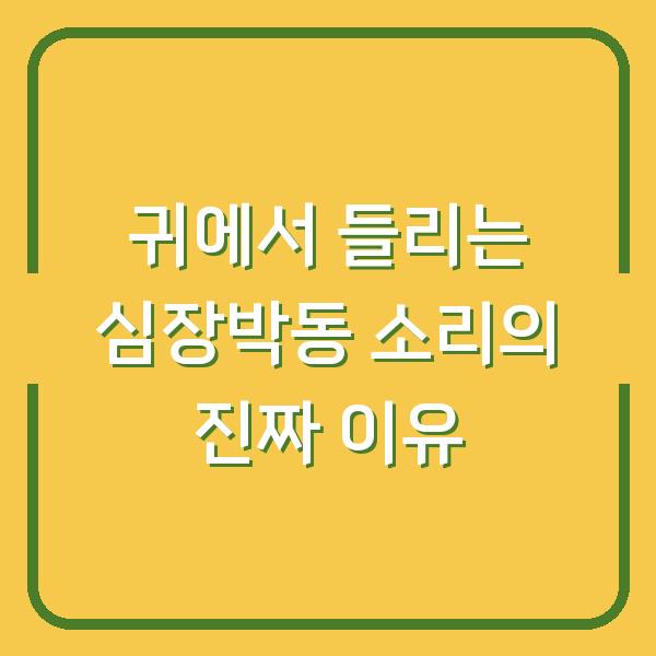 귀에서 들리는 심장박동 소리의 진짜 이유