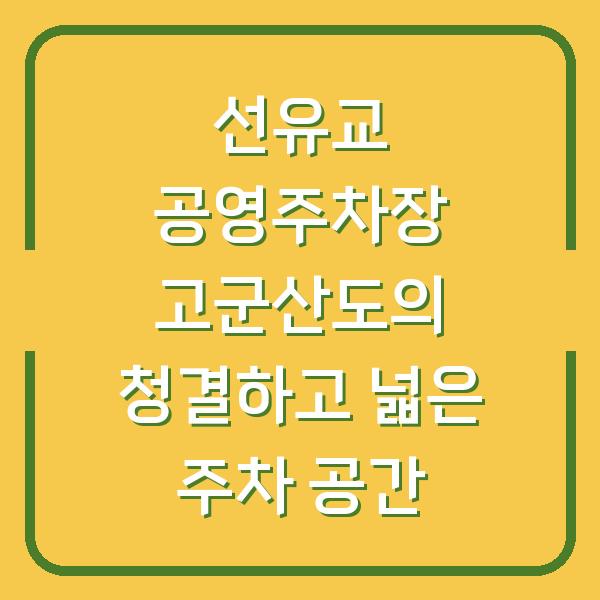 선유교 공영주차장 고군산도의 청결하고 넓은 주차 공간