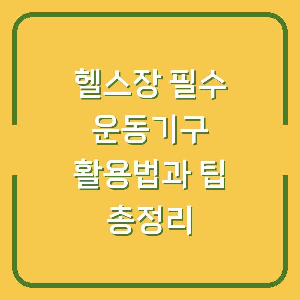 헬스장 필수 운동기구 활용법과 팁 총정리