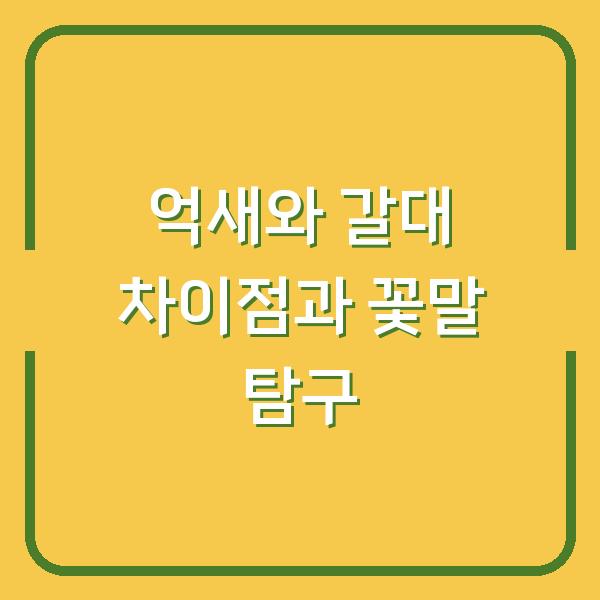 억새와 갈대 차이점과 꽃말 탐구