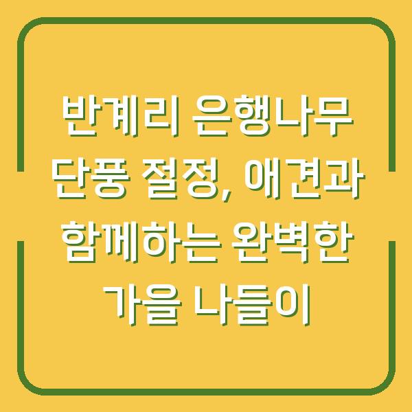 반계리 은행나무 단풍 절정, 애견과 함께하는 완벽한 가을 나들이