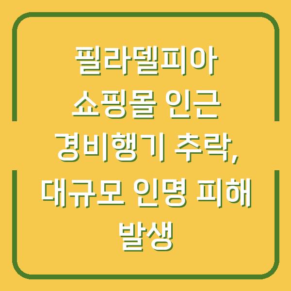 필라델피아 쇼핑몰 인근 경비행기 추락, 대규모 인명 피해 발생