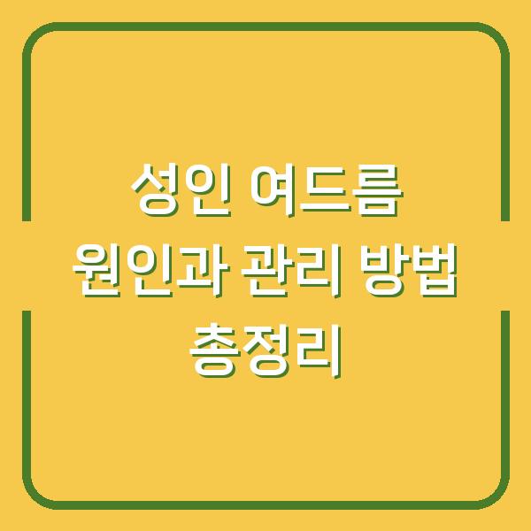 성인 여드름 원인과 관리 방법 총정리