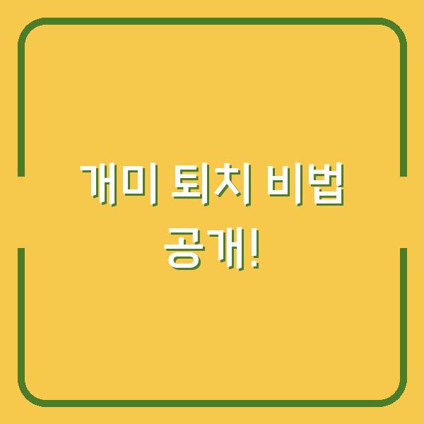 개미 퇴치 비법 공개!