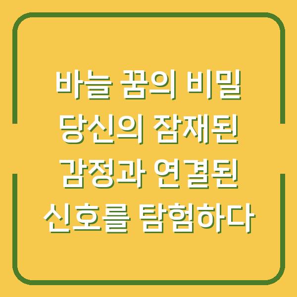바늘 꿈의 비밀 당신의 잠재된 감정과 연결된 신호를 탐험하다