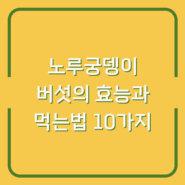 노루궁뎅이 버섯의 효능과 먹는법 10가지