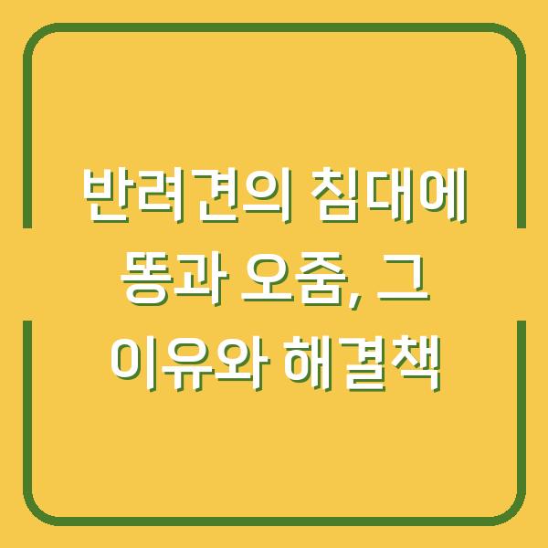 반려견의 침대에 똥과 오줌, 그 이유와 해결책