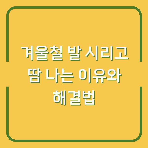 겨울철 발 시리고 땀 나는 이유와 해결법