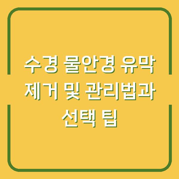 수경 물안경 유막 제거 및 관리법과 선택 팁