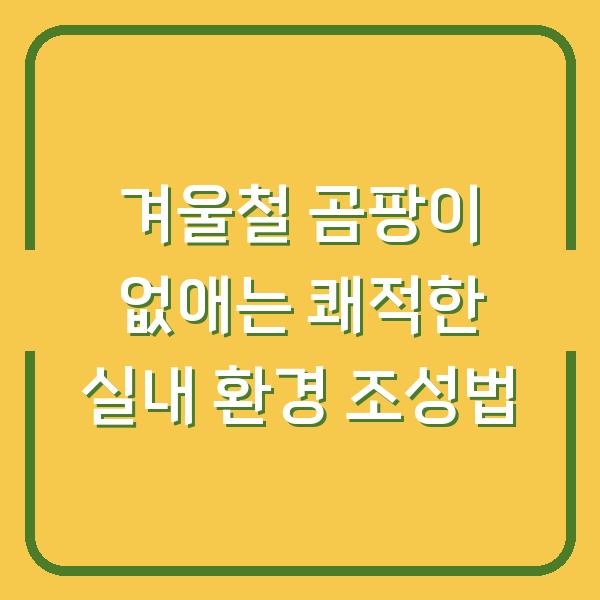 겨울철 곰팡이 없애는 쾌적한 실내 환경 조성법