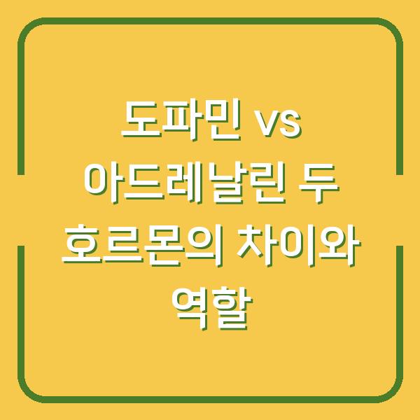 도파민 vs 아드레날린 두 호르몬의 차이와 역할