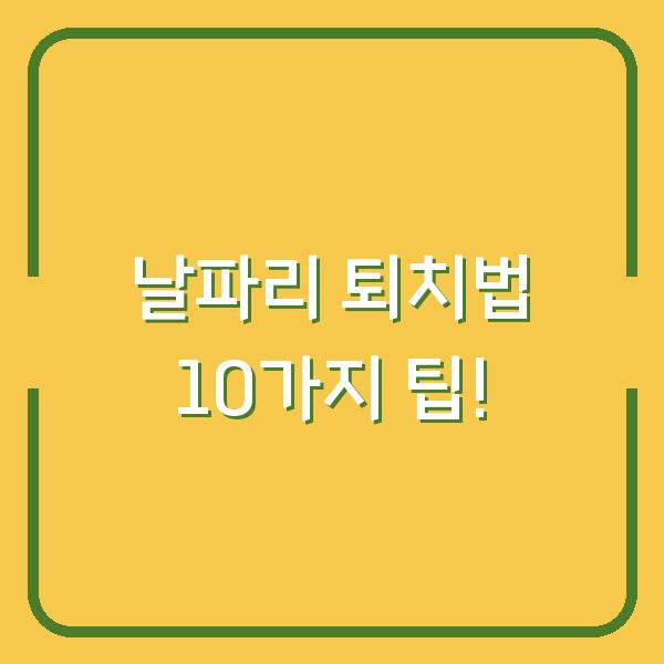 날파리 퇴치법 10가지 팁!