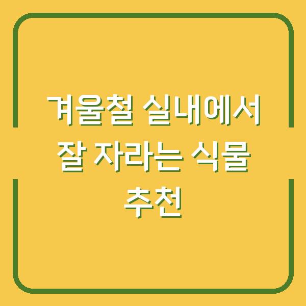 겨울철 실내에서 잘 자라는 식물 추천