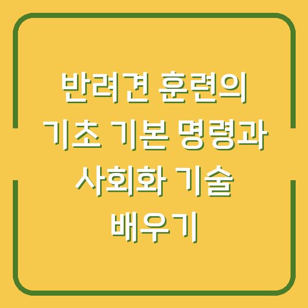 반려견 훈련의 기초 기본 명령과 사회화 기술 배우기