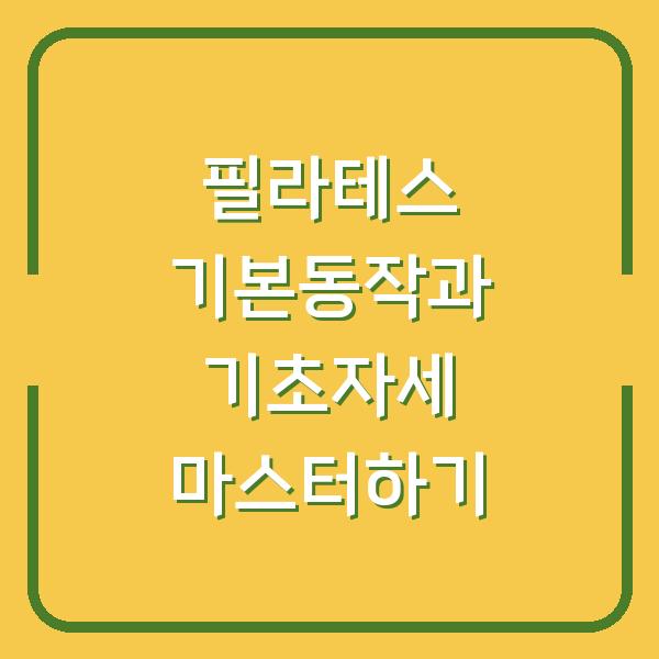 필라테스 기본동작과 기초자세 마스터하기