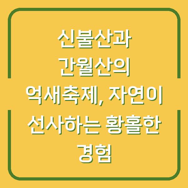 썸네일
