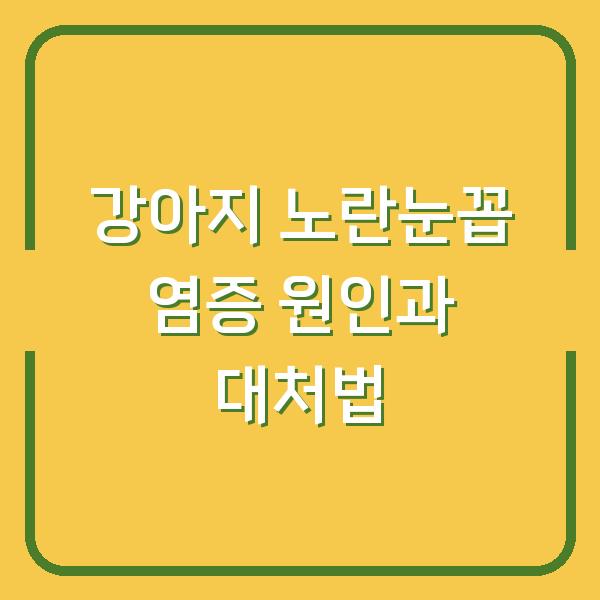 강아지 노란눈꼽 염증 원인과 대처법