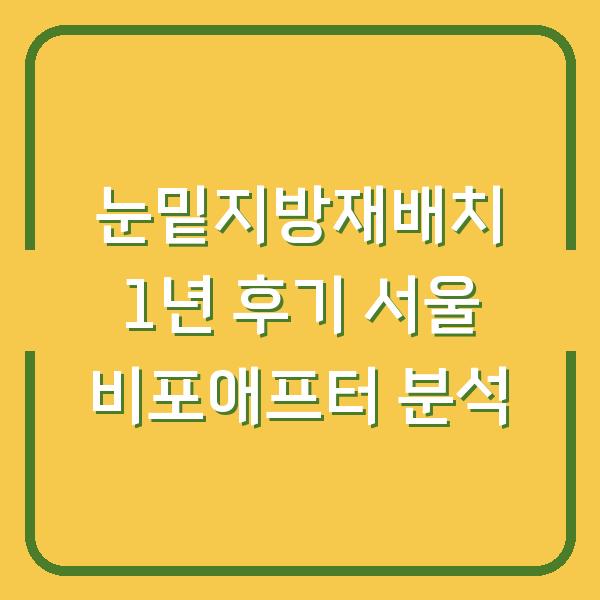 눈밑지방재배치 1년 후기 서울 비포애프터 분석