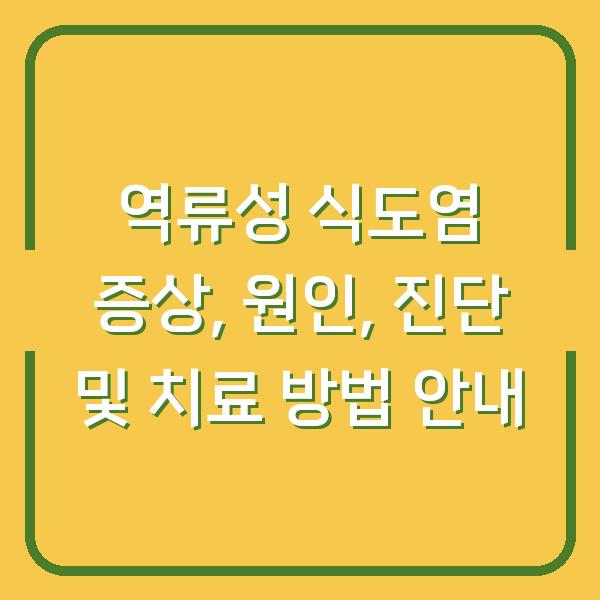 역류성 식도염 증상, 원인, 진단 및 치료 방법 안내