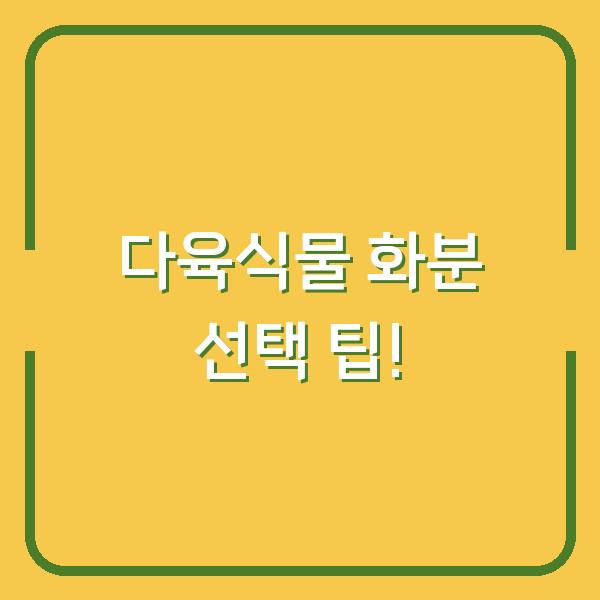 다육식물 화분 선택 팁!