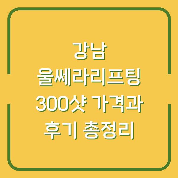 강남 울쎄라리프팅 300샷 가격과 후기 총정리