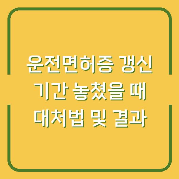 운전면허증 갱신 기간 놓쳤을 때 대처법 및 결과