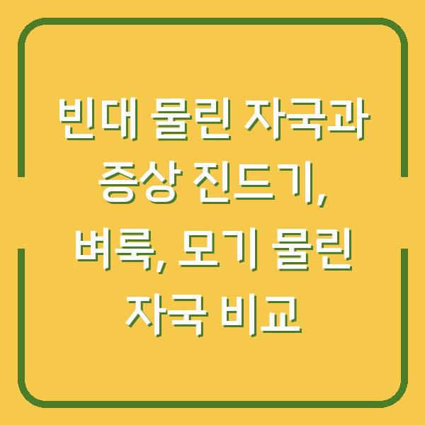 빈대 물린 자국과 증상 진드기, 벼룩, 모기 물린 자국 비교