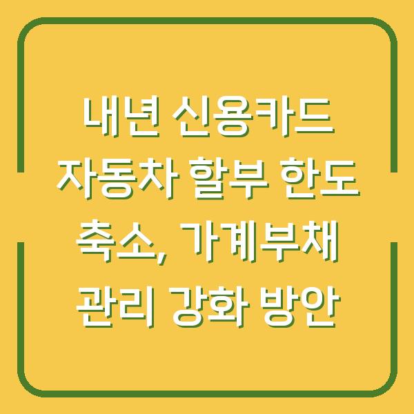 내년 신용카드 자동차 할부 한도 축소, 가계부채 관리 강화 방안