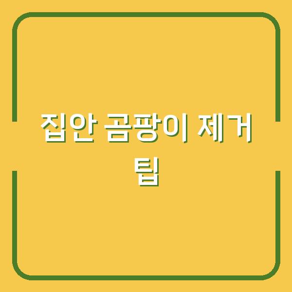 집안 곰팡이 제거 팁