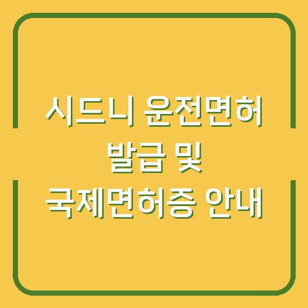 시드니 운전면허 발급 및 국제면허증 안내