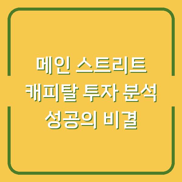 메인 스트리트 캐피탈 투자 분석 성공의 비결
