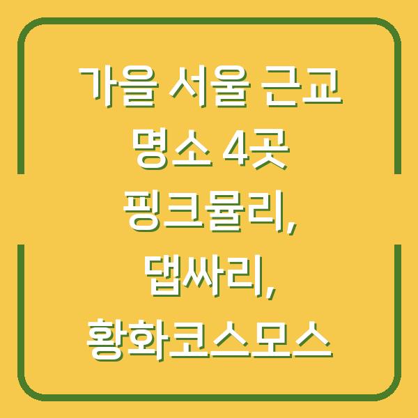 가을 서울 근교 명소 4곳 핑크뮬리, 댑싸리, 황화코스모스