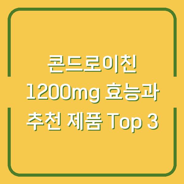 콘드로이친 1200mg 효능과 추천 제품 Top 3