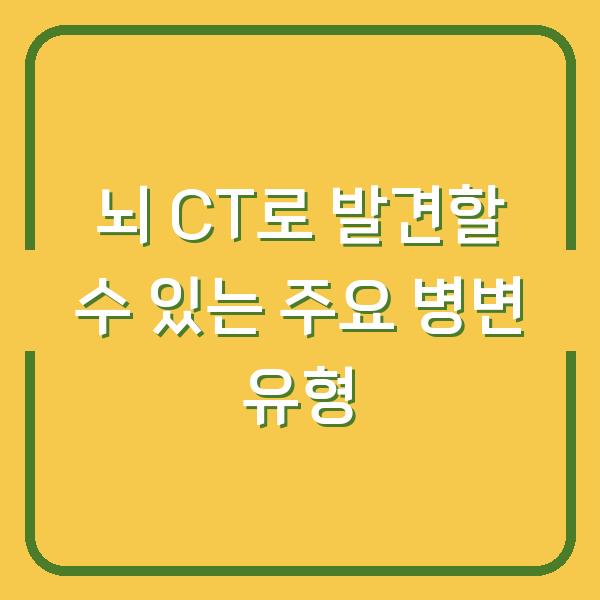 뇌 CT로 발견할 수 있는 주요 병변 유형