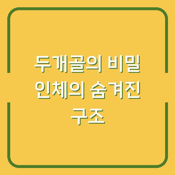 두개골의 비밀 인체의 숨겨진 구조